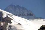 The south wall of the Eiger (3970 m) pictured from the Eggishorn