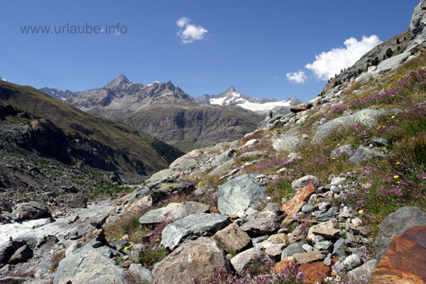 Look back to the upper Gabelhorn, the Wellenkuppe and the Zinalrothorn. Nature can be hardly represented in a more beautiful way.