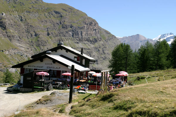 The Stafelalp at a height of 2200 m invites to have a rest.